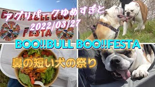 BOO!!BULL BOO!!FESTA行ってきたよ！  ブルドッグミルクチャンネル　埼玉県杉戸町道の駅アグリパークゆめすぎと