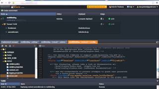 Multiple Domains in Jelastic