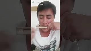 國寶老師格西亞老師～賽德克口簧琴Teacher Guobao Teacher Gecia ~ Seediq Harmonica 国宝先生 ~ ゲーシア先生 ~ セデックハーモニカ#shorts