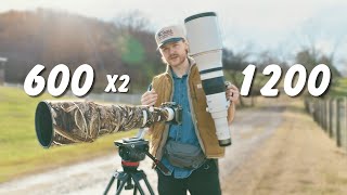 Ultra long wildlife lens comparison - Which is better? - Canon RF 600mm vs 1200mm