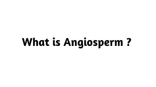 What is Angiosperm ?