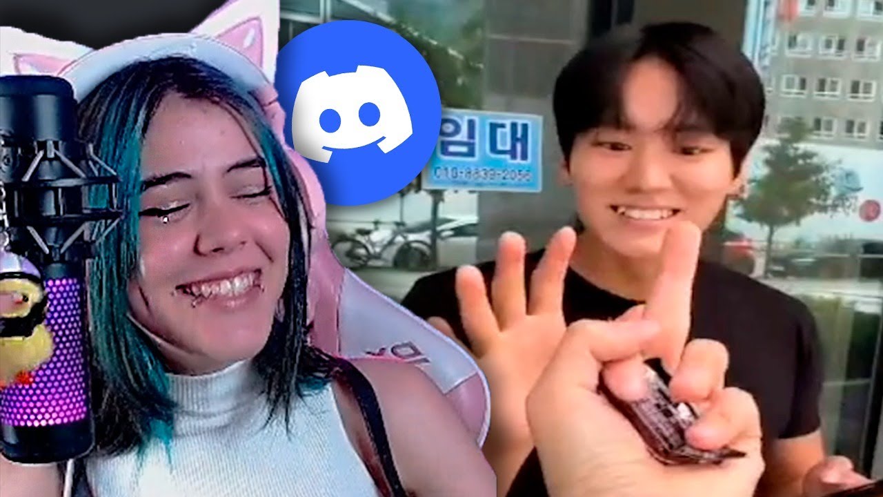 Say Cat Memes Do Discord Youtube