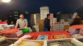 Taiwan Seafood Auction -Master takes a break and sells for apprentices