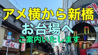 アメ横から新橋まで歩き、お台場へご案内いたします