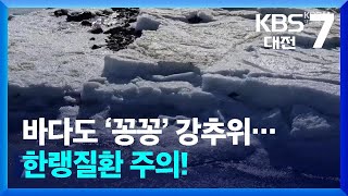 바다도 ‘꽁꽁’ 강추위…한랭질환 주의! / KBS  2025.02.06.