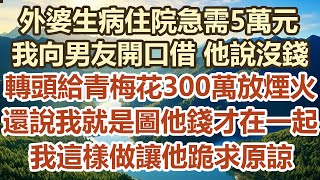 外婆生病住院急需5萬元！我向男友開口借 他說沒錢！轉頭給青梅花300萬放煙火！還說我就是圖他錢才在一起！我這樣做讓他跪求原諒！#幸福敲門 #為人處世 #生活經驗 #情感故事