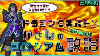 ドラクエ10 　コロシアム　戦士はパラの上位互換なのか検証