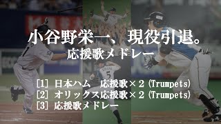 【現役引退】小谷野栄一 応援歌メドレー