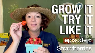 "Grow It, Try It, Like It" — Episode 6 — Strawberries