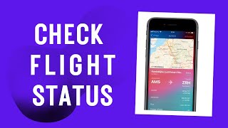 Tip: you can check a flight status with your iPhone in this way - Apple Fix