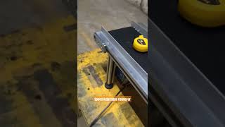 Compact Belt Conveyor | Speed Adjustable