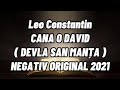 negativ CANA O DAVID leo constantin