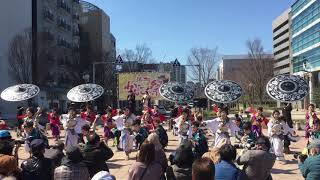 浜よさがんこ祭り 2019 常磐 花筐 東街区会場 1日目