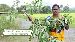 நொச்சி இலை மருந்து/Nochi leaf Medicine