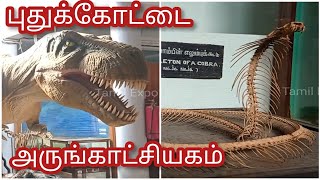 புதுக்கோட்டை அருங்காட்சியகம் || Pudukkottai Museum