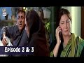 Mubarak Ho Beti Hui Hai - Double Episode - 26th April 2017 | ARY Digital Drama