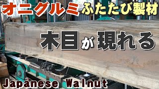 【挽き直し製材】オニグルミ材の修正挽き【木の店さんもく】Japanese Walnut Sawing