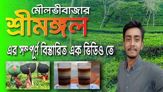 চায়ের দেশ শ্রীমঙ্গল ভ্রমন । শ্রীমঙ্গলের সবকিছু এক ভিডিওতে। srimangal | moulvibazar | Bangladesh