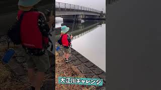 【バス釣り】大江川に釣りにきたら#shorts