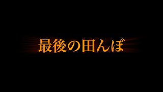 『最後の田んぼ』今まで、動画をアップして来たのには理由があった。『最後の田んぼ』だったから。。