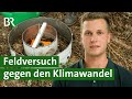 Klimawandel, Dürre, Starkregen: Student forscht auf dem eigenen Maisfeld | Unser Land | BR