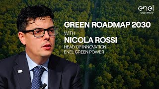 Green Roadmap 2030: a talk with Nicola Rossi