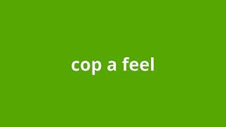 what is the meaning of cop a feel