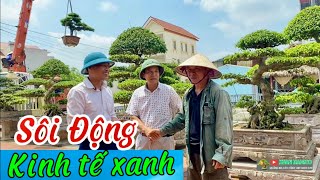 Thị trường cây cảnh sôi động | Động lực mới cho kinh tế xanh Việt Nam.