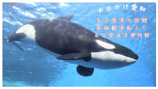 【日帰り愛知旅】シャチやイルカの赤ちゃんにも会える名古屋港水族館。南極観測船ふじ、名古屋海洋博物館などガーデン埠頭(名古屋港)を1日満喫♪