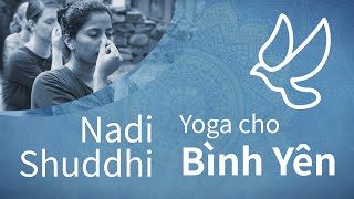 Nadi Shuddhi - Yoga cho sự Bình Yên