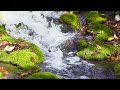 relaxation rewind biographical sketch of thoreau by emerson asmr reading for relaxation u0026 sleep