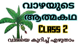 വാഴയുടെ ആത്മകഥ/class 2 /Malayalam