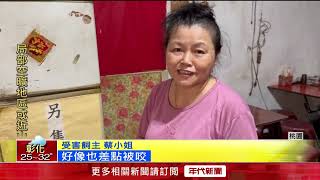 吉娃娃綁家門口遭浪浪咬死！ 飼主心痛怒：已養12年