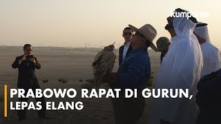 Bahas Kerja Sama dengan Menhan UEA, Prabowo Rapat di Gurun dan Lepas Elang