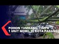 Hujan Deras Disertai Angin Kencang, Pohon di Kota Padang Tumbang dan Timpa 1 Unit Mobil!