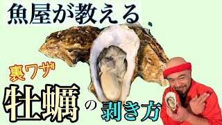 築地の魚屋が教える 簡単！【牡蠣の殻の剥き方】Tsukiji fishmonger strips oysters