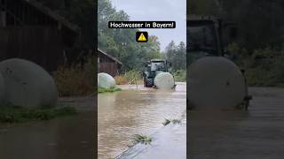 Hochwasser in Bayern! Höhere Pegel noch möglich! 16.09.24 @sturmjageralb-donau7736 #hochwasser