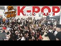 K-POP • MODENA NERD 2024