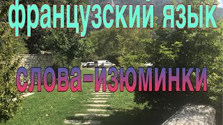 ФРАНЦУЗСКИЕ СЛОВА-ИЗЮМИНКИ | часть 1 | французский по полочкам