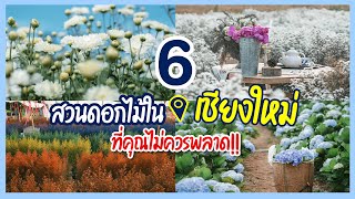 6 สวนดอกไม้สวยในเชียงใหม่