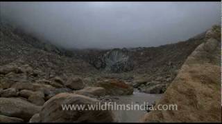 Gangotri glacier and Gaumukh Trek