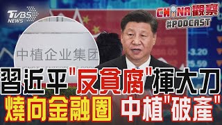 習近平「反貪腐」揮大刀  燒向金融圈 中植「破產」｜CHINA觀察PODCAST