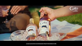 ¡Bienvenido! – Nuevo Gato selección dulce Rosé