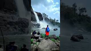 അതിരപ്പിള്ളി വെള്ളച്ചാട്ടം💚കേരളം❤️#athirappilly #waterfall #kerala#forest #trending #thrissur#shorts