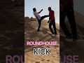 round house kicks iron man jayan