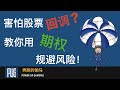 期权怎么玩 | 用备兑期权·Coverd Call·规避股票小幅回调风险 How to Use Covered Call to Handle Small Pullbacks