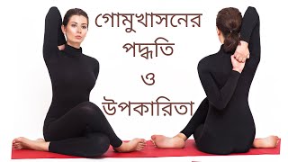 গোমুখাসনের পদ্ধতি ও উপকারিতা । Steps and benefits of Gomukhasana in Bengali.