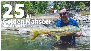 Himalayan Fishing - 25 lbs Golden Mahseer .2017. Ramganga River. . www.india-angling.com