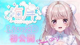 〘 Live2D初公開 〙海月、たくさん動きます！〘 Vtuber準備中 〙〘 TeaserPV 〙