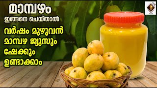 മാമ്പഴം ഇങ്ങനെ ചെയ്താൽ വർഷം മുഴുവൻ മാമ്പഴ ജ്യൂസും ഷേക്കും ഉണ്ടാക്കാം | Mango Pulp